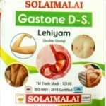 Gastone Lehyam DS 125 Gms