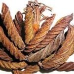 valambirikkai (வலம்பிரிக்காய்)