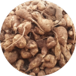 Akasa Karudan Kilangu (Kilimuku Kilangu)